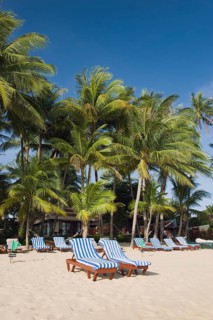 Deckchairs on a beach with palm trees