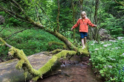 Boy balancing barefoot on a mossy tree trunk at a stream