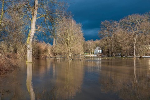 Floodwaters of the Ilm River