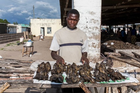 Man selling fish at the market in Kalabo