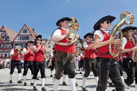 Historical parade