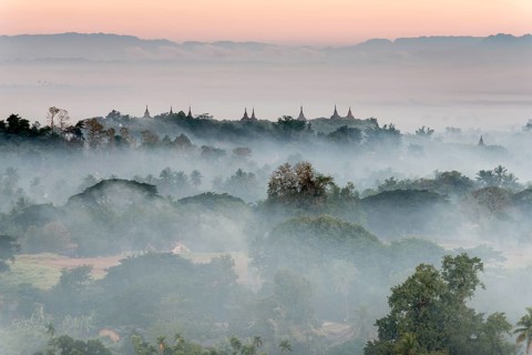 Pagodas and temples surrounded by trees