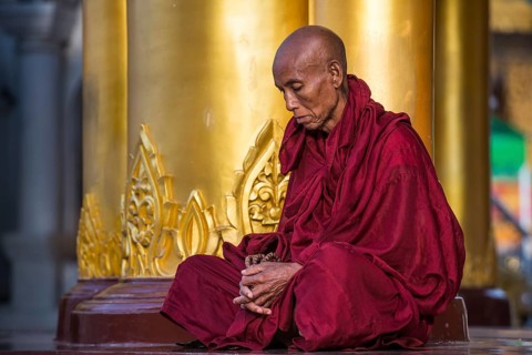 Buddhist monk in prayer