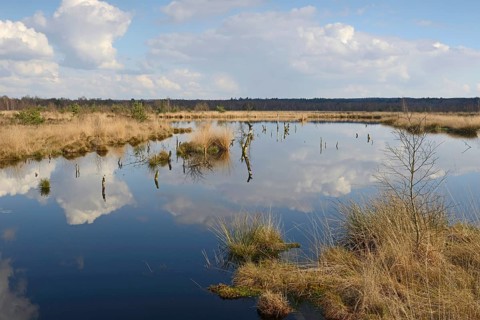 Rewetted moor