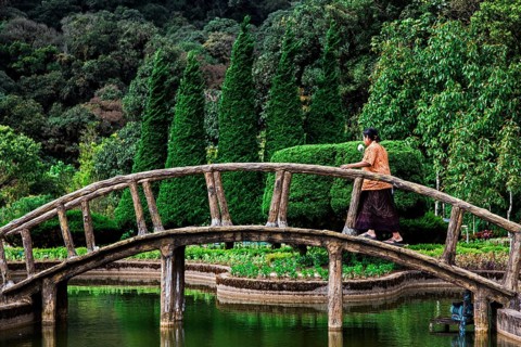 Arched bridge over a small pond on the Doi Inthanon mountain