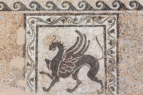 Griffin