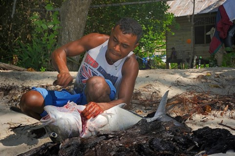 Fisherman gutting a large fish