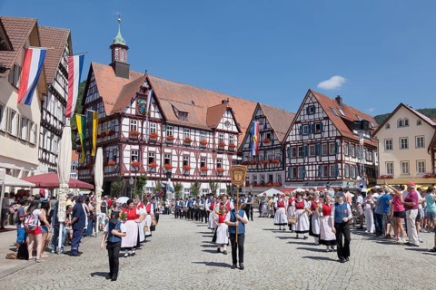 Historical parade