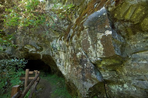 Petroglyphs in the Parque Cultural La Zarza