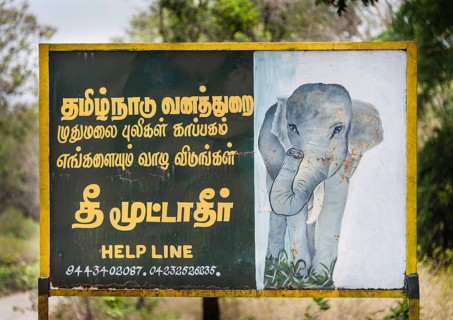 Sign for the protection of elephants