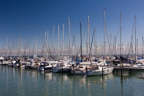 Sailboats in the marina