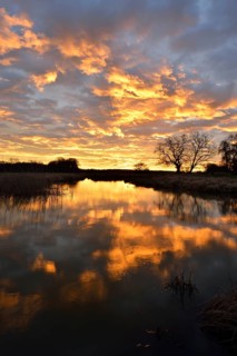 Sunrise over the Leiner See lake in the Middle Elbe Biosphere Reserve