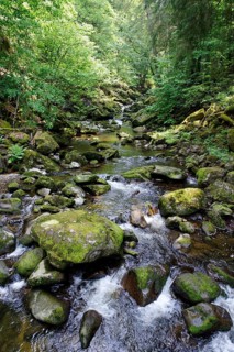 Wolfsteiner Ohe river