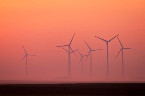 Wind farm in the fog