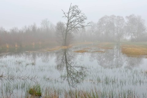 High moor in autumn
