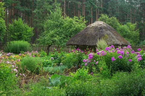 Farmhouse with a garden