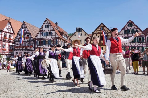 Historical parade