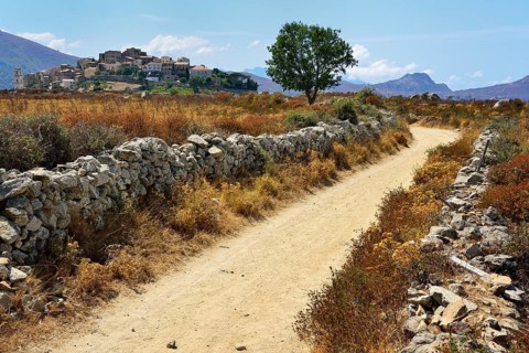 Dirt road with dry stone walls