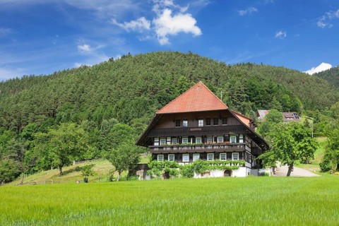 Traditional house in the Gutachtal valley