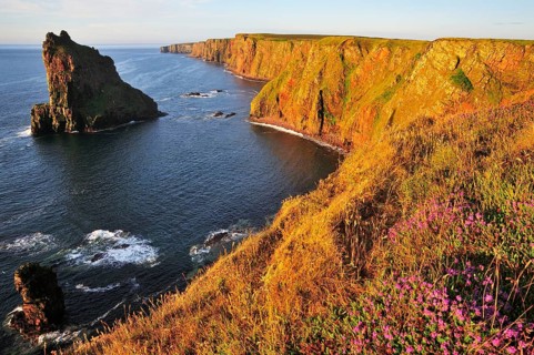 Duncansby Stacks pinnacles in the morning light