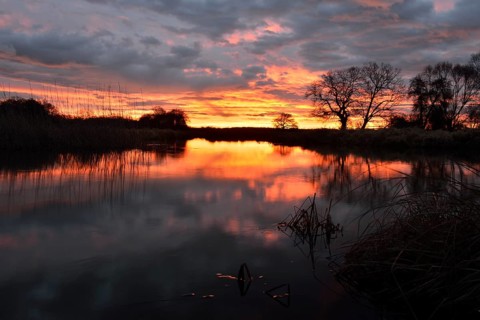 Sunrise over the Leiner See lake in the Middle Elbe Biosphere Reserve