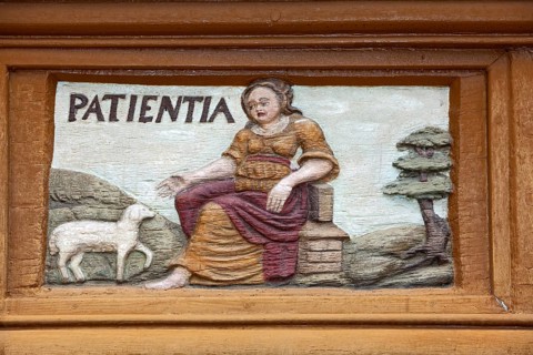 Patientia