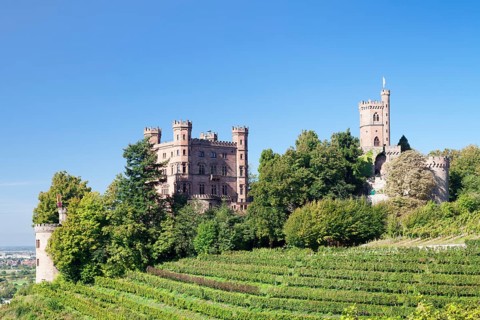 Schloss Ortenberg
