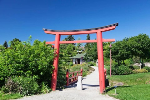 Japanese Garden