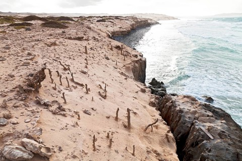 Fulgurites on the sandy cliffs of Praia de Boa Esperanca Beach