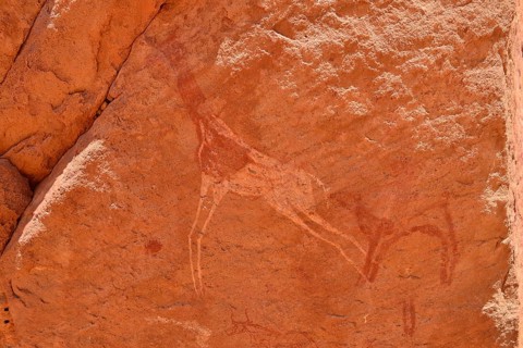 Rock painting of a dama gazelle
