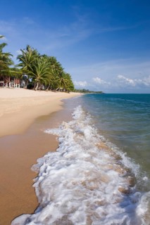 Beach with palm trees