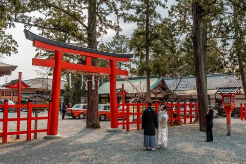 Wedding couple in front of Torii