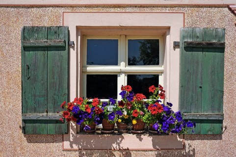 Flowers at the window of a farm house
