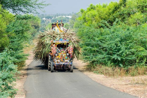 A tractor is transporting sugar cane