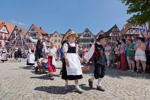 Historical parade