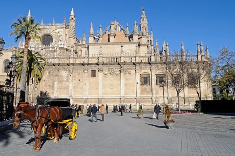 Horse and carriage