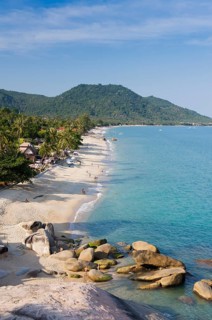 Beach with palm trees