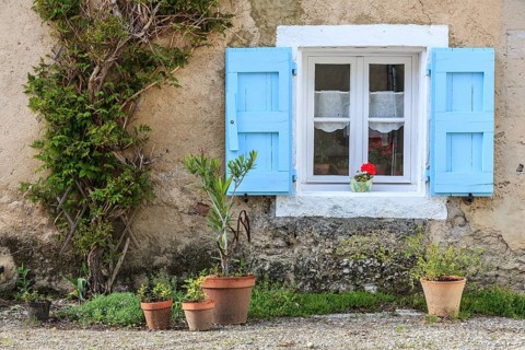 Window with bright blue shutters and potted plants