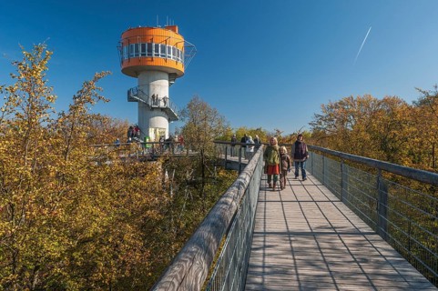 Treetop walk with observation tower