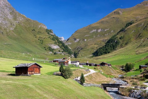 Fane Alp