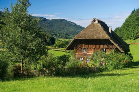 A thatched farmhouse and a cottage garden