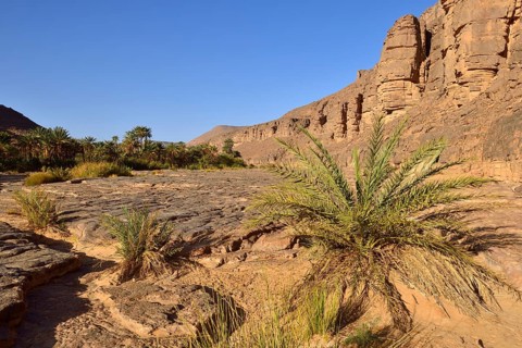 Iherir Canyon