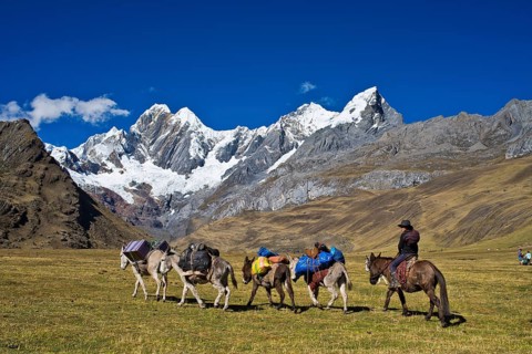 Local woman riding a mule and driving four packhorses