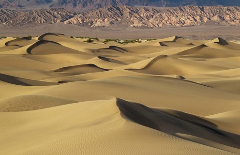 Mesquite Flat Sand Dunes in the evening light