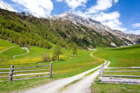 Schliniger Alm