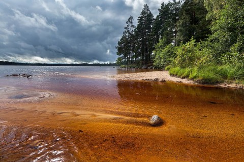 Estuary on the beach of Vitsand