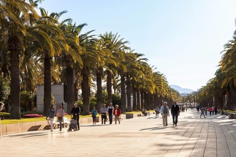 People walking along the Palm Promenade