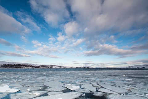 Barents Sea