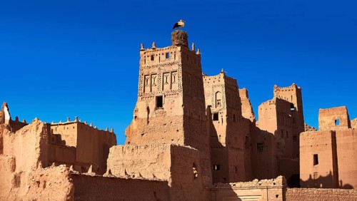 Stork nesting on the Glaoui Kasbah