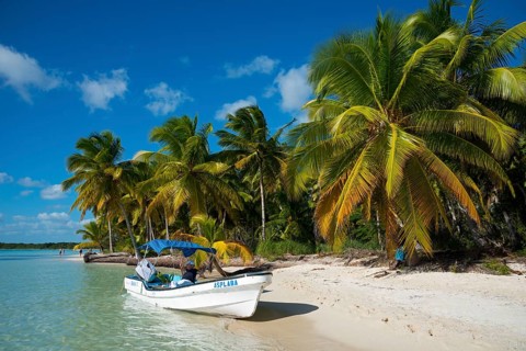 Boat on Palm Beach